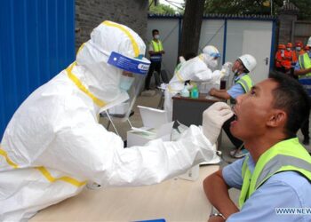 Beijing epidemic not second outbreak, cases likely to drop: top expert
