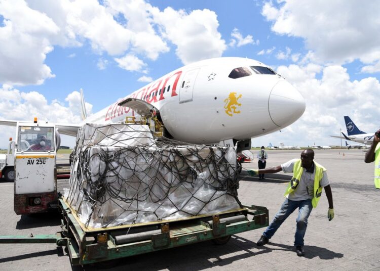 Interview: China really stands with Africa during COVID-19 crisis, says Kenyan party leader