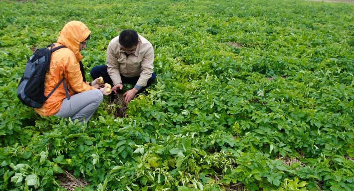 Rural tourism helps village in Northwest China shake off poverty
