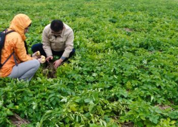 Rural tourism helps village in Northwest China shake off poverty