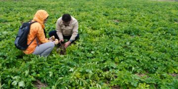 Rural tourism helps village in Northwest China shake off poverty