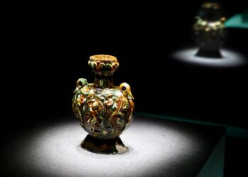 Archaeological discoveries related to Silk Road in Eurasia, Africa abundant: report