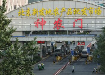 Virus in Beijing’s Xinfadi from Europe, but older: China CDC