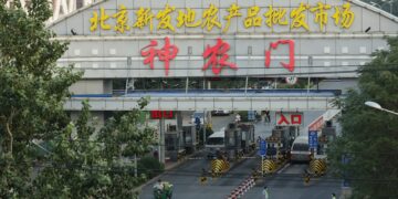 Virus in Beijing’s Xinfadi from Europe, but older: China CDC