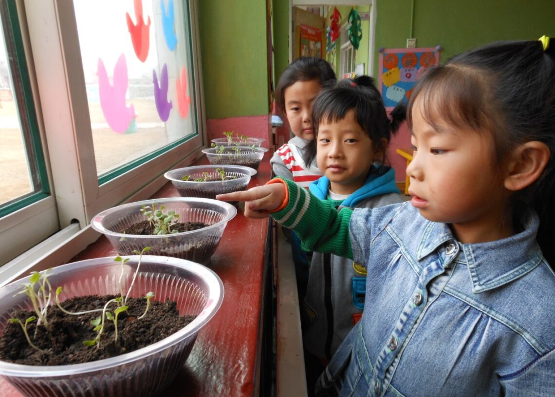 Chinese people’s enthusiasm for vegetable growing
