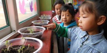 Chinese people’s enthusiasm for vegetable growing