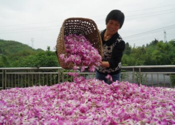 China’s poverty alleviation mission is a historic achievement