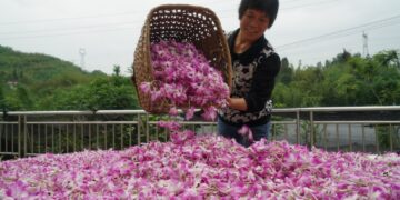 China’s poverty alleviation mission is a historic achievement