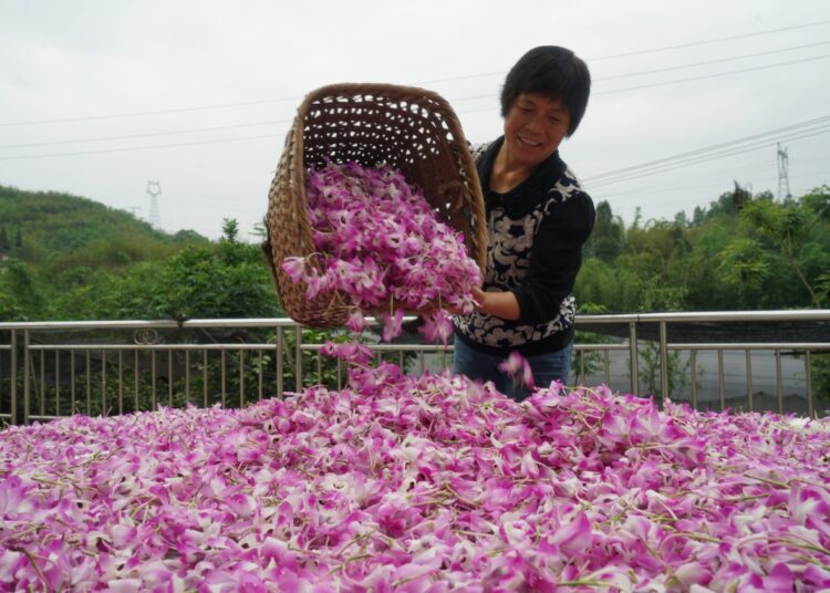 China’s poverty alleviation mission is a historic achievement