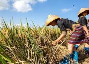 Local tourism helps villagers in NW China’s Gansu shake off poverty