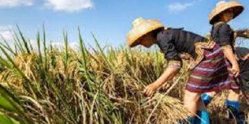 Local tourism helps villagers in NW China’s Gansu shake off poverty
