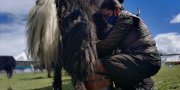 Tibetan township gets rid of poverty, embraces prosperity