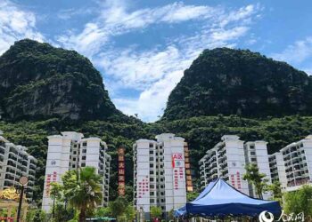 Companies focus on ecological protection of Yangtze River Delta region