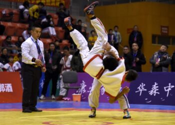Chinese wrestling gains new vitality