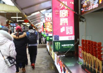Big data employed by SW China’s Guiyang to make life more convenient
