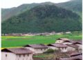 Inner Mongolia village embraces new life, strikes balance between husbandry, ecology