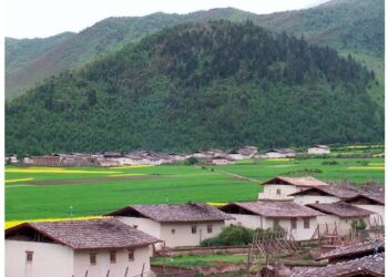 Inner Mongolia village embraces new life, strikes balance between husbandry, ecology