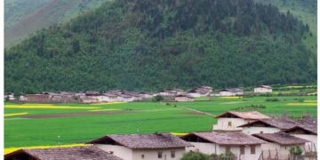 Inner Mongolia village embraces new life, strikes balance between husbandry, ecology