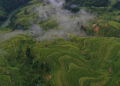 Miao village in SW China’s Guizhou Province becomes increasingly livable