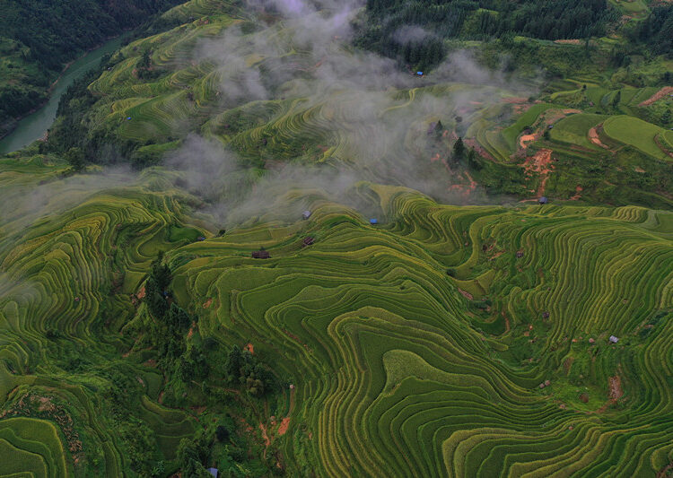 Miao village in SW China’s Guizhou Province becomes increasingly livable