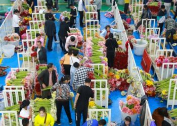 SW China’s Yunnan province develops street market into wind vane of domestic flower market