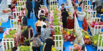 SW China’s Yunnan province develops street market into wind vane of domestic flower market