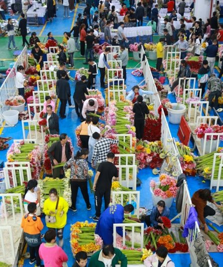 SW China’s Yunnan province develops street market into wind vane of domestic flower market