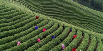 China-EU cooperation on geographical indication leads to brighter future of bilateral trade