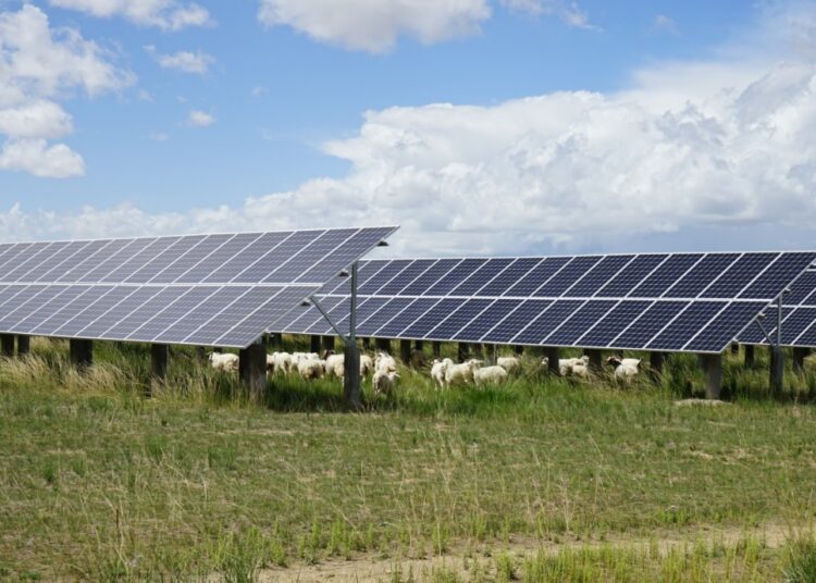Photovoltaic power stations in NW China’s Qinghai province help local villagers secure livelihood
