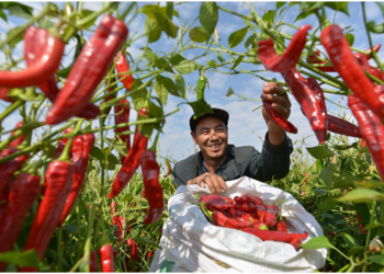 To protect right to work is to safeguard human rights