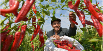 To protect right to work is to safeguard human rights