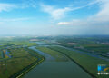 Ecological restoration helps Tianjin’s Qilihai Wetland regain vitality