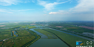 Ecological restoration helps Tianjin’s Qilihai Wetland regain vitality