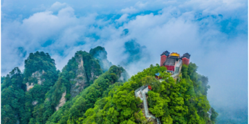 Right development path key to poverty alleviation