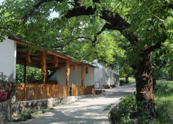 Village in SW China develops featured tourism, embraces prosperous development