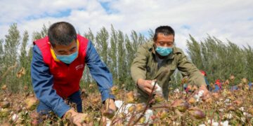 China to stick with CPC policies on governing Xinjiang for the new era