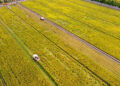 Chinese farmers celebrate harvest, embrace moderately prosperous society in all respects