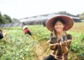 China’s victory against poverty appreciated