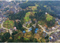 China’s successful poverty reduction campaign example to world