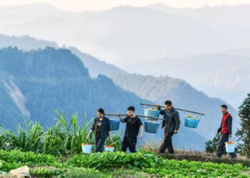 China sets role model for global poverty reduction