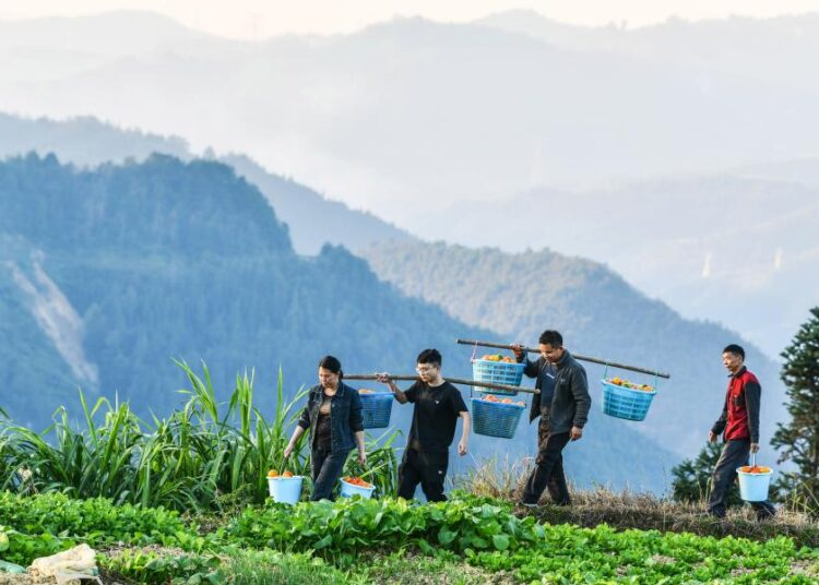 China sets role model for global poverty reduction