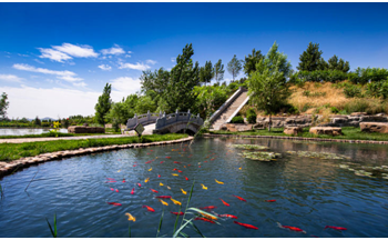 North China’s Hebei province brings better life to citizens by promoting green transformation of traditional mines