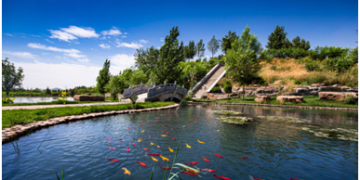 North China’s Hebei province brings better life to citizens by promoting green transformation of traditional mines