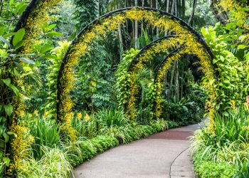 China’s second national botanical garden unveiled in Guangdong