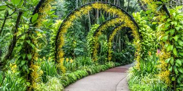 China’s second national botanical garden unveiled in Guangdong