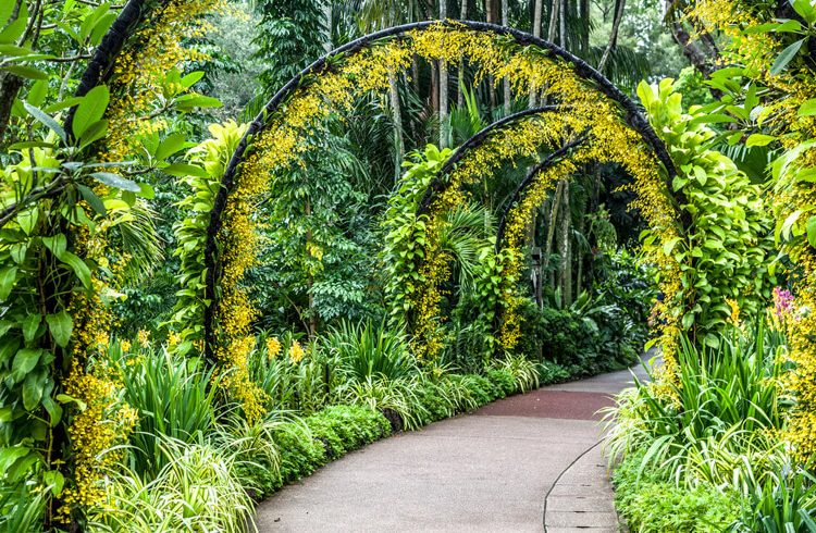 China’s second national botanical garden unveiled in Guangdong