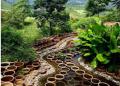 Ceramic art helps rural vitalization in central China’s Henan province