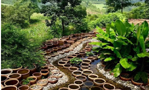 Ceramic art helps rural vitalization in central China’s Henan province