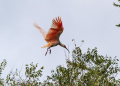 Biodiversity enhanced in China’s Qinling Mountains