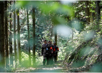 The “forest chief” scheme leads to lusher mountains in central China’s Hunan province